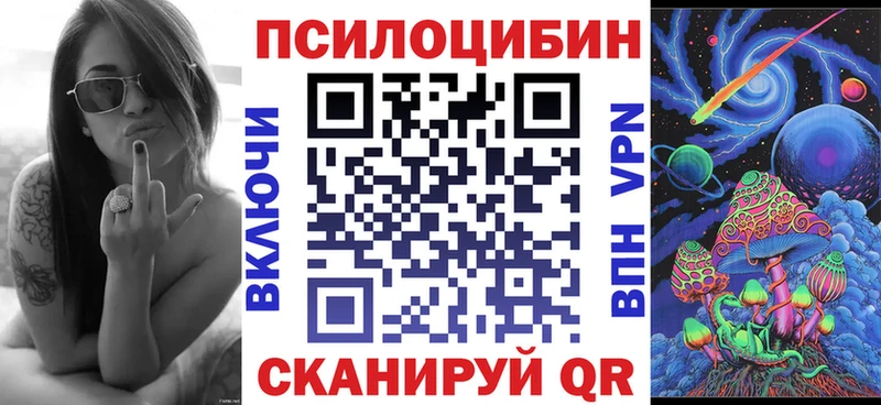 Псилоцибиновые грибы Psilocybe  Купить  Торжок 